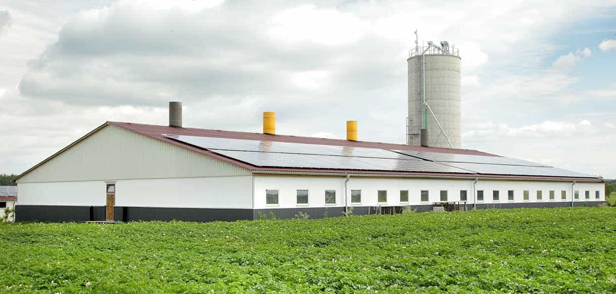 Schweinemaststall von Haas Landwirtschaftsbau