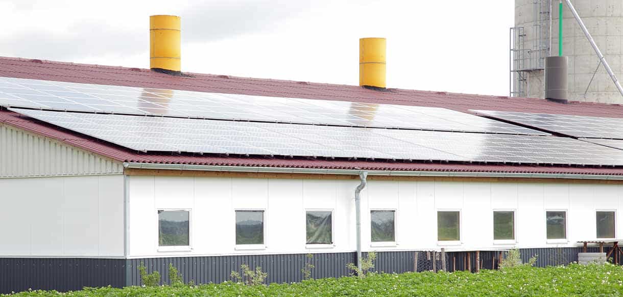 Schweinemaststall von Haas Landwirtschaftsbau