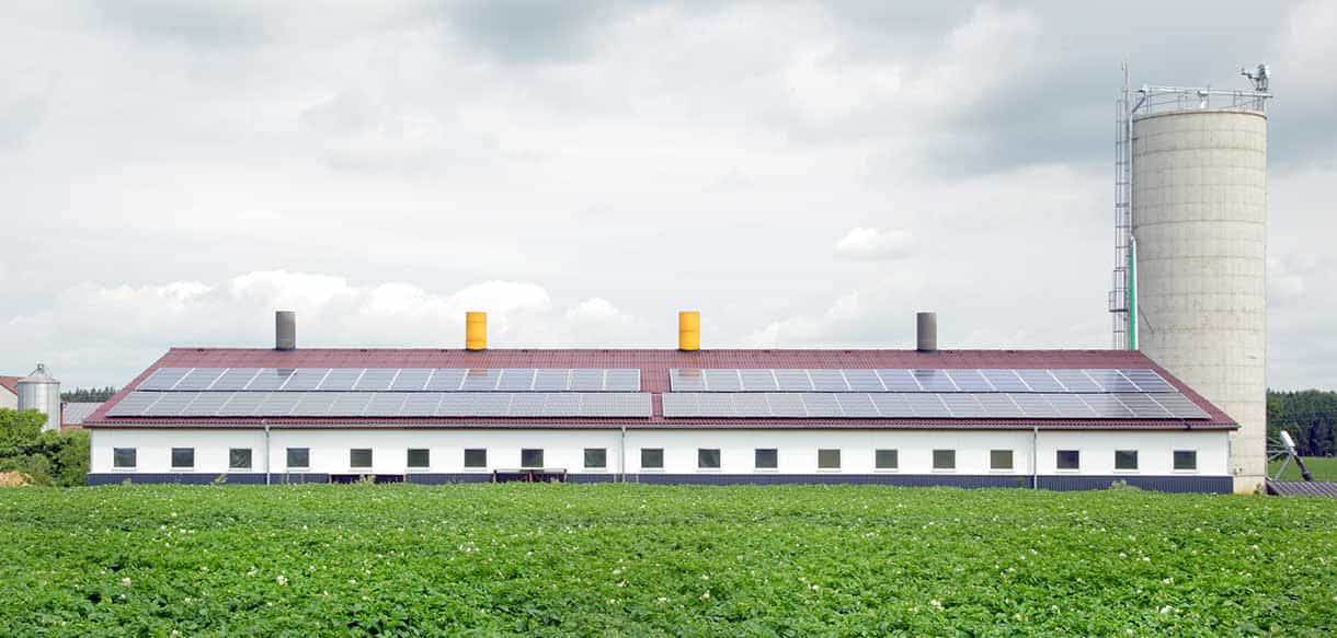 Schweinemaststall von Haas Landwirtschaftsbau