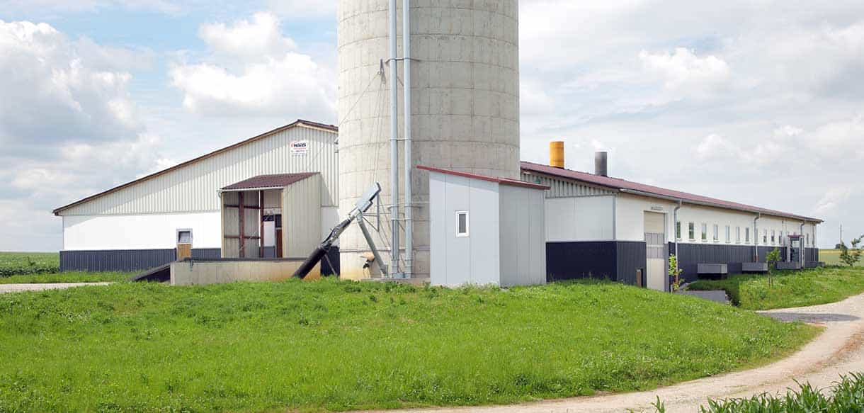 Schweinemaststall von Haas Landwirtschaftsbau