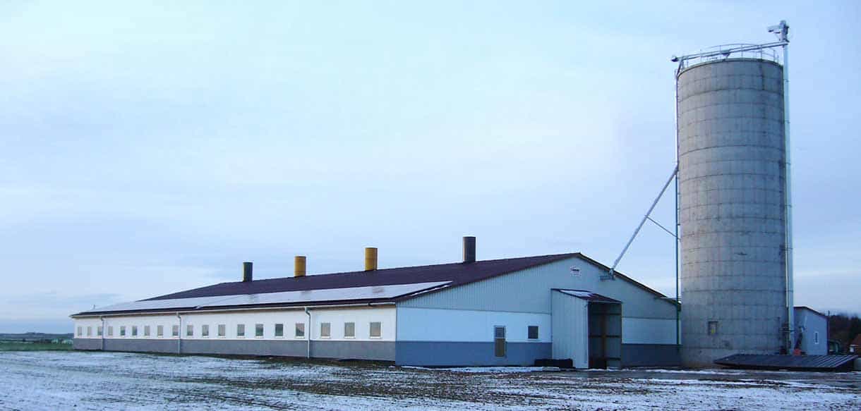 Schweinemaststall von Haas Landwirtschaftsbau