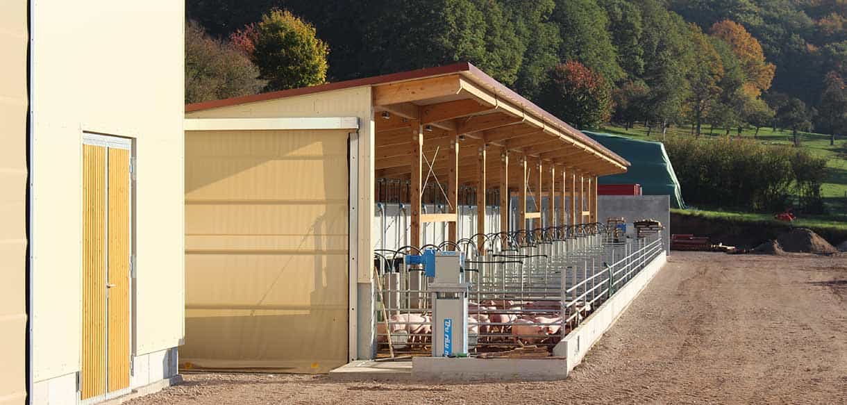Schweinemaststall als Bio-Offenstall von Haas Landwirtschaftsbau