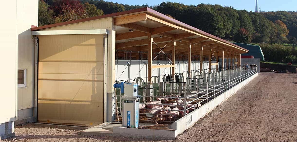 Schweinemaststall als Bio-Offenstall von Haas Landwirtschaftsbau
