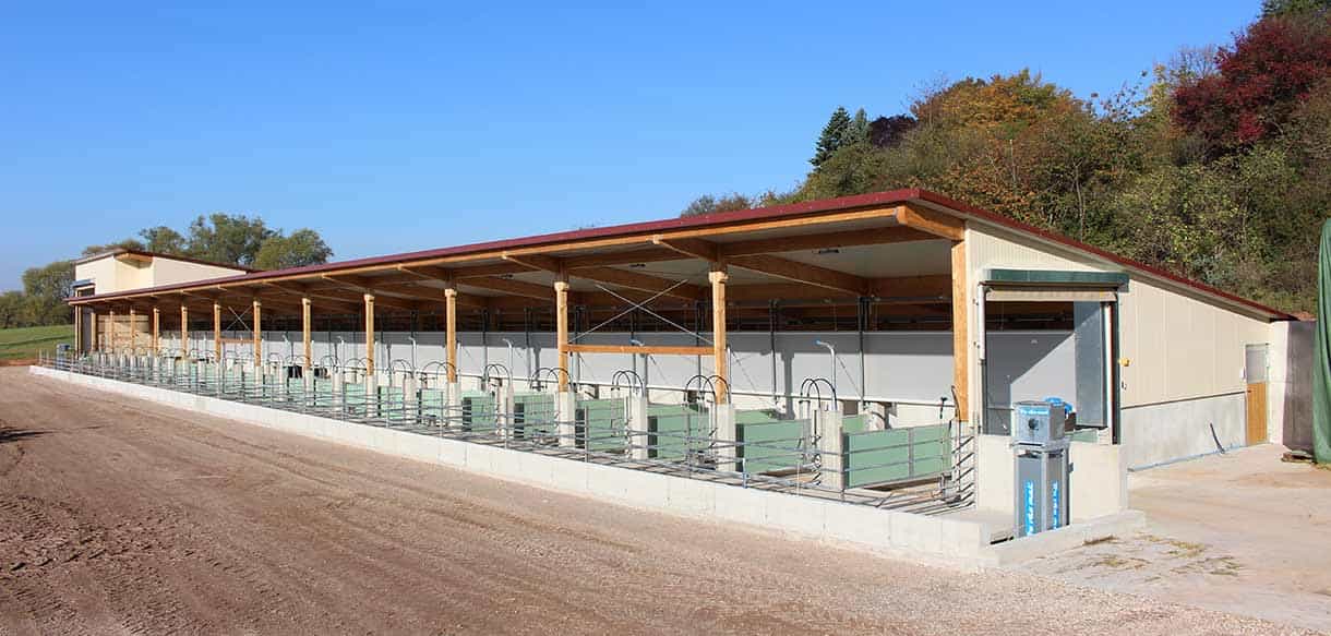 Schweinemaststall als Bio-Offenstall von Haas Landwirtschaftsbau