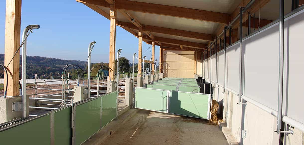 Schweinemaststall als Bio-Offenstall von Haas Landwirtschaftsbau