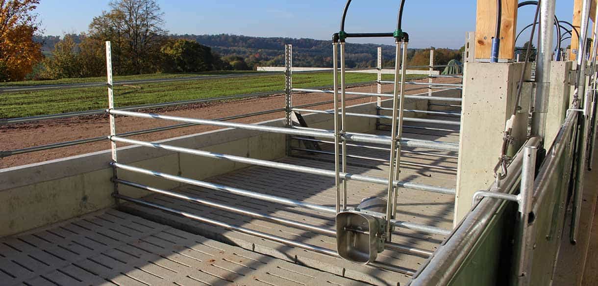 Schweinemaststall als Bio-Offenstall von Haas Landwirtschaftsbau