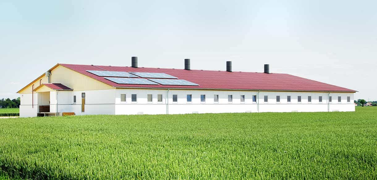 Schweinemaststall von Haas Landwirtschaftsbau
