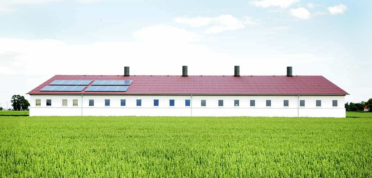 Schweinemaststall von Haas Landwirtschaftsbau