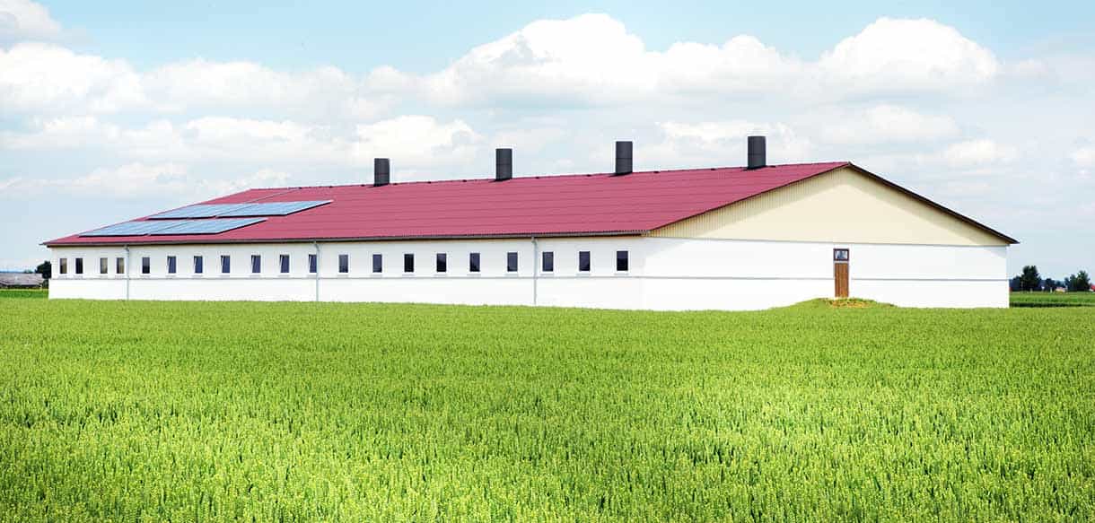 Schweinemaststall von Haas Landwirtschaftsbau