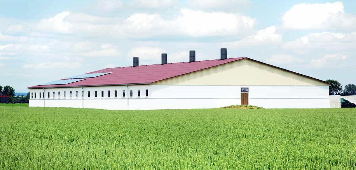 Schweinemaststall von Haas Landwirtschaftsbau