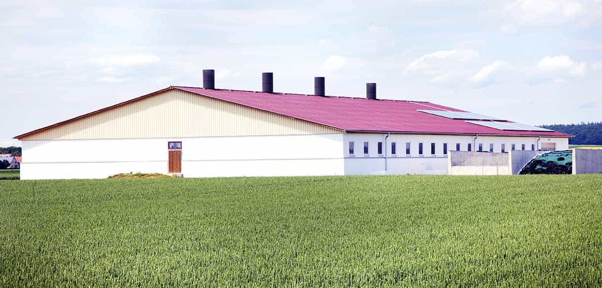 Schweinemaststall von Haas Landwirtschaftsbau