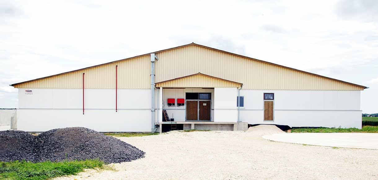 Schweinemaststall von Haas Landwirtschaftsbau