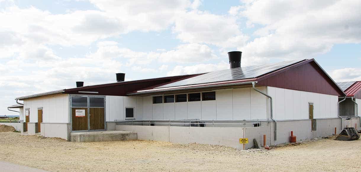 Schweinestall mit Lüftungsanlage und Glaslichtband von Haas Landwirtscahftsbau