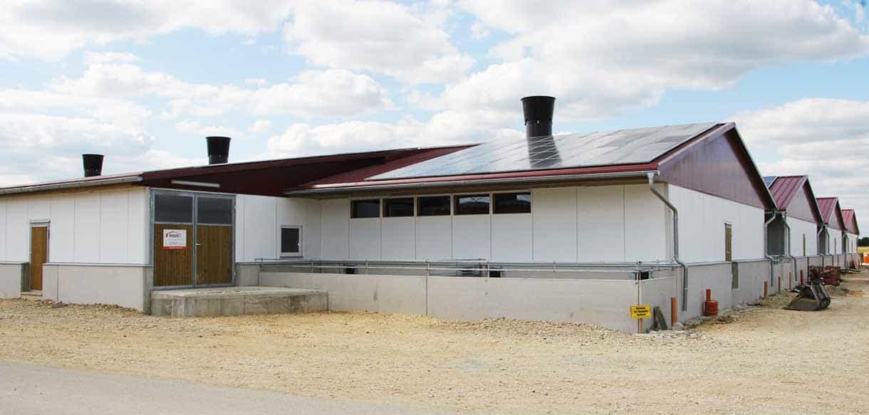 Schweinestall mit Lüftungsanlage und Glaslichtband von Haas Landwirtscahftsbau