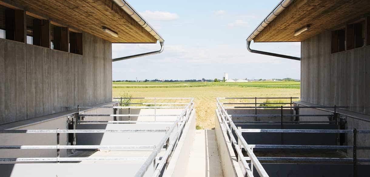 Schweinestall mit Lüftungsanlage und Glaslichtband von Haas Landwirtscahftsbau