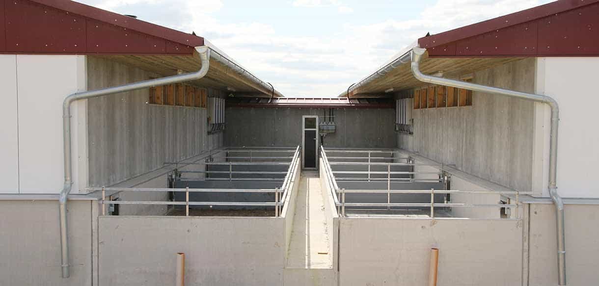 Schweinestall mit Lüftungsanlage und Glaslichtband von Haas Landwirtscahftsbau