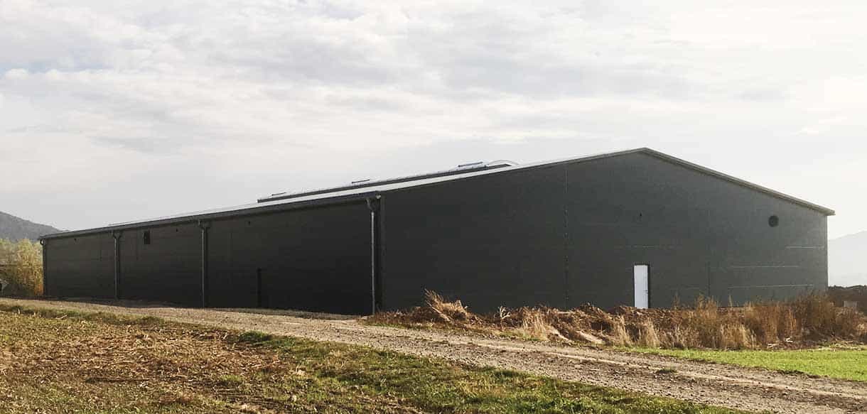 Garnelenaufzucht mit Fenster und Industrielichtfirst von Haas Landwirtschaftsbau