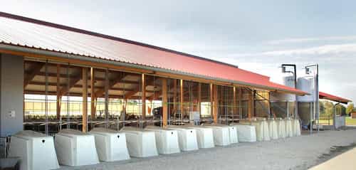 Milchviehstall von Haas Landwirtschaftsbau