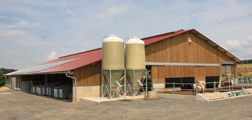 Milchviehstall mit Firstlüftung von Haas Landwirtschaftsbau