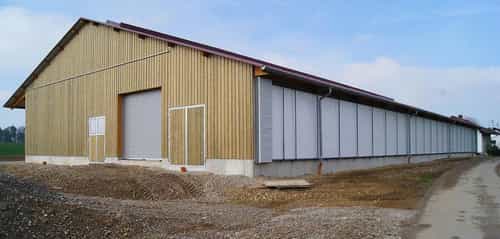 Milchviehstall von Haas Landwirtschaftsbau