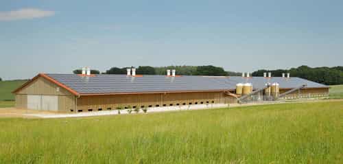 Bio Legehennenstall von Haas Landwirtschaftsbau