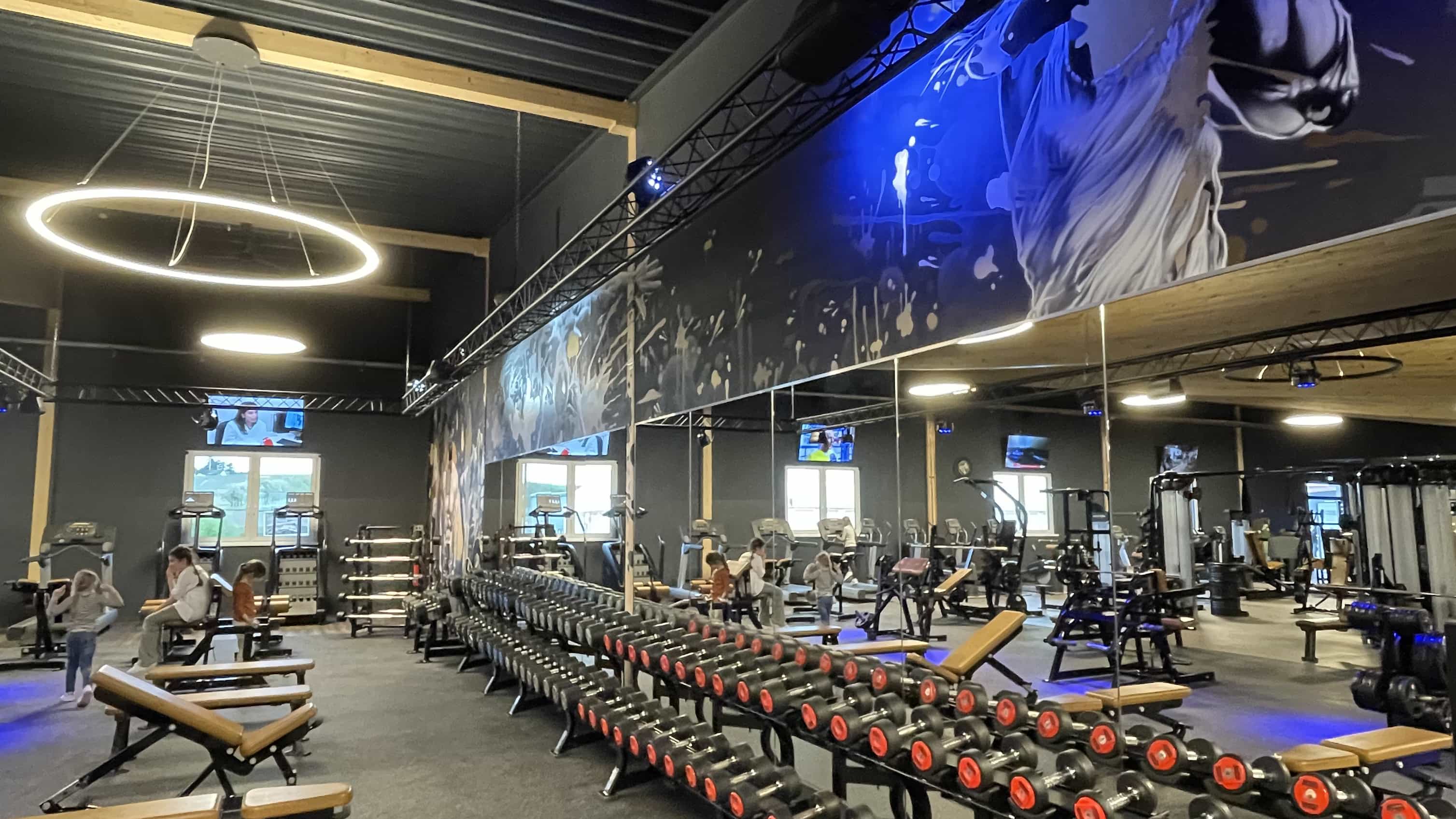 Freihantelbereich mit Hantelständern, Ringleuchten und Wandbild im Fitnesscenter Enjoy Fitness