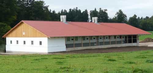 Legehennenstall von Haas Landwirtschaftsbau