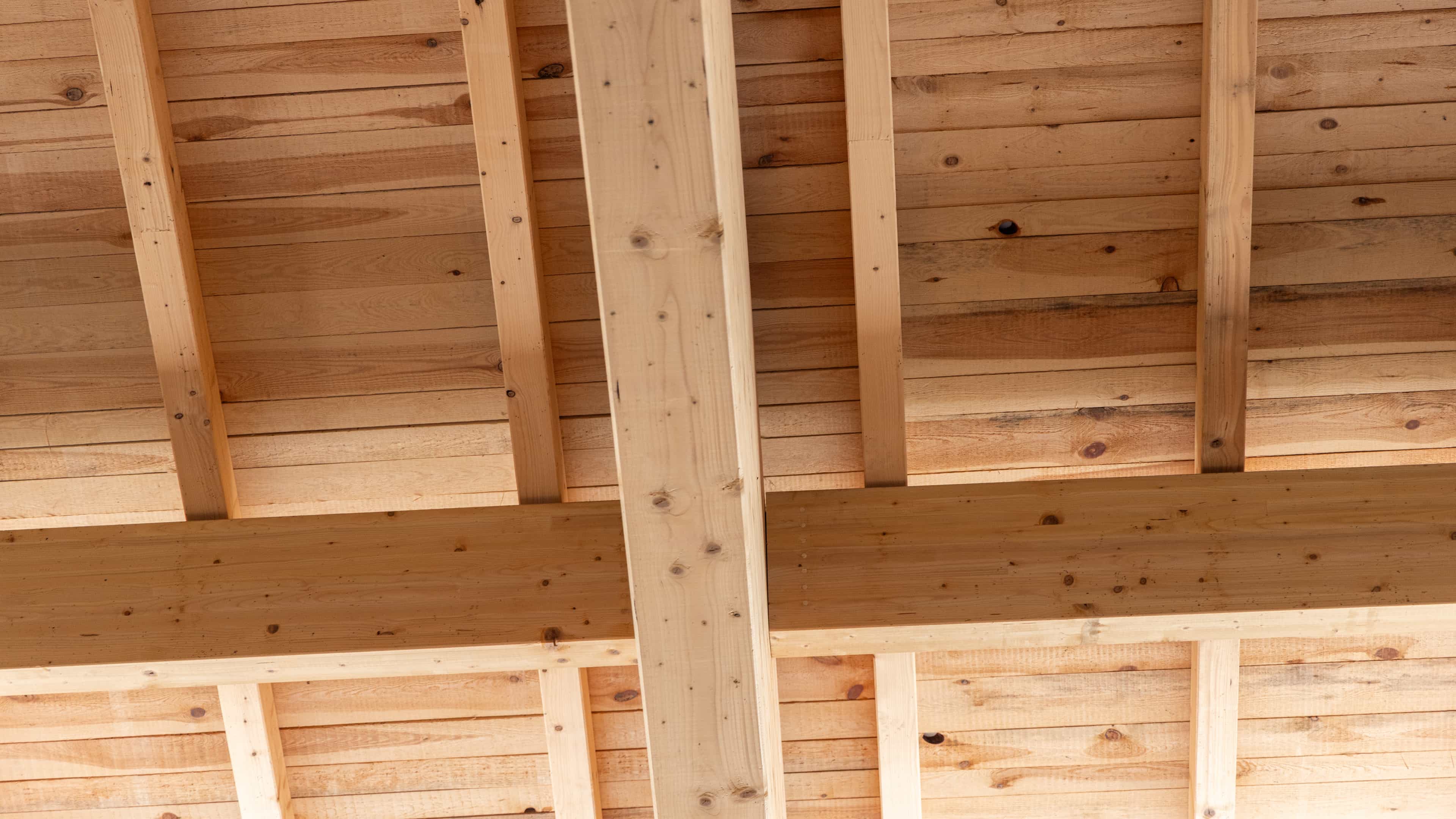 Detail der Holzdachkonstruktion mit Sparren und Pfetten im Rinderstall