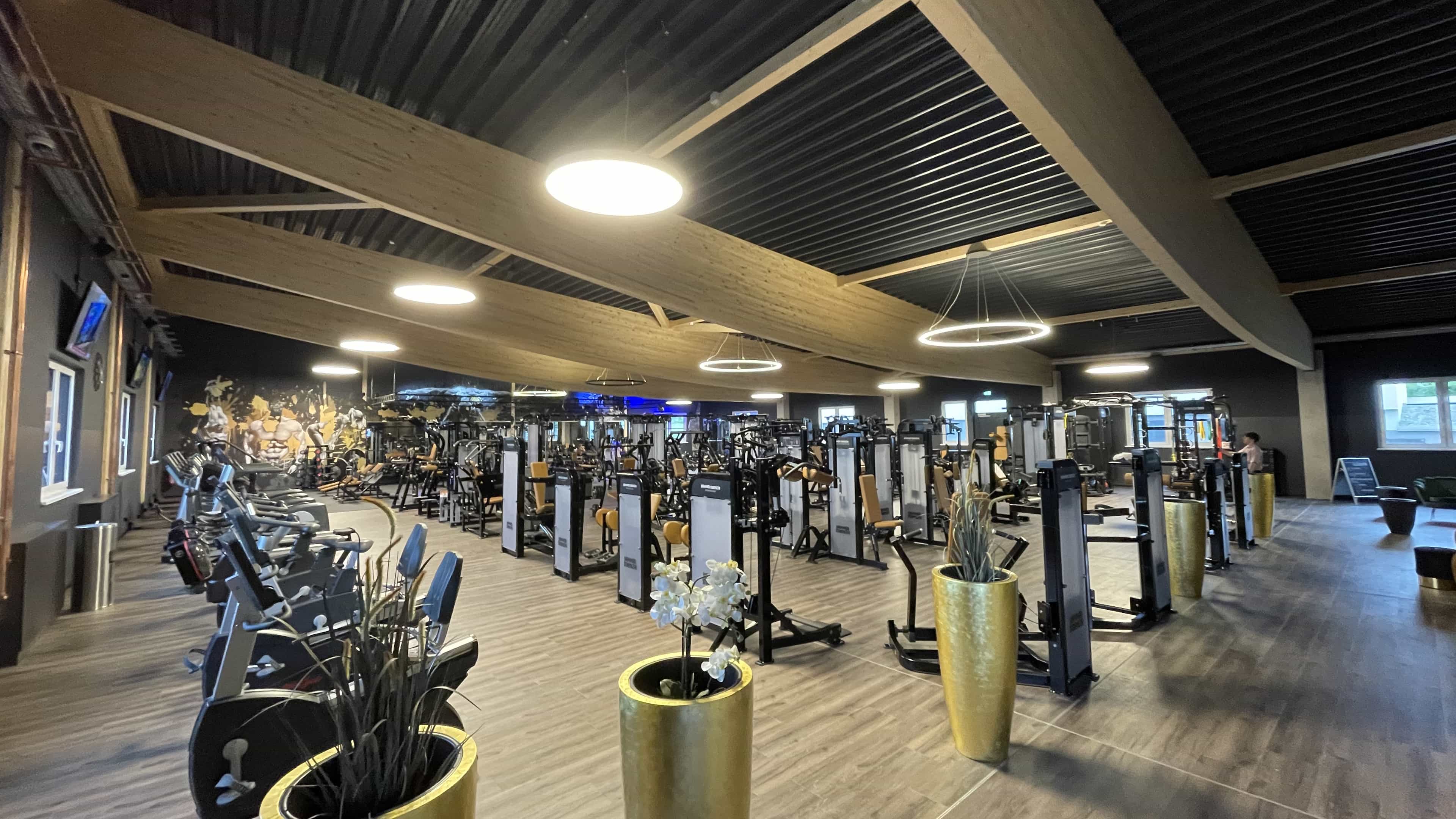 Trainingsfläche mit Geräten, Ringleuchten und sichtbaren Holzbalken im Fitnesscenter Enjoy Fitness