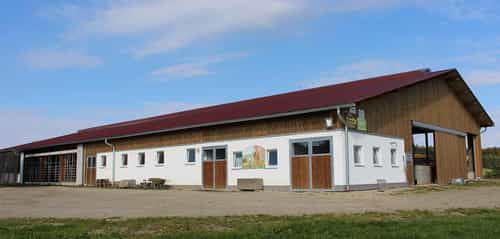 Milchviehstall mit Firstlüftung von Haas Landwirtschaftsbau