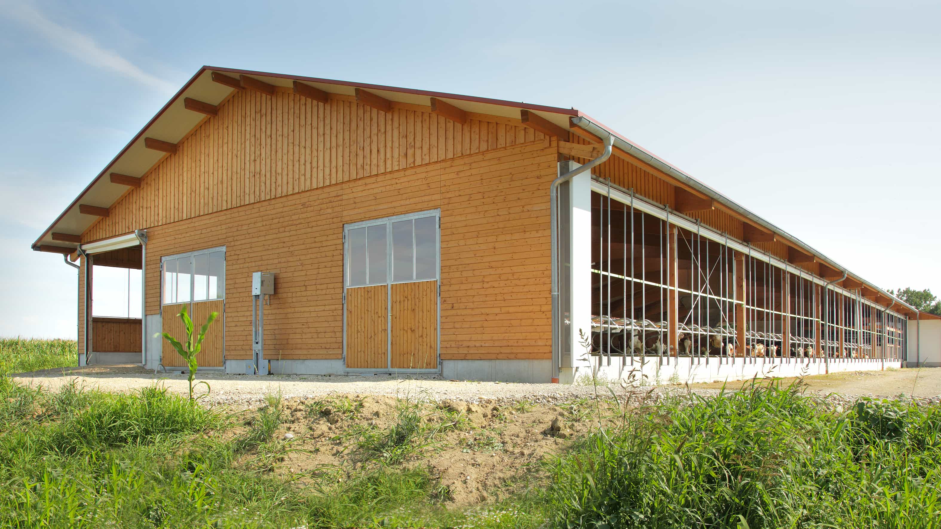 Haas Landwirtschaft Licht & Lüftung Wand