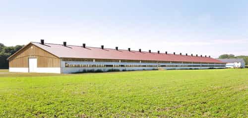 Putenstall von Haas Landwirtschaftsbau