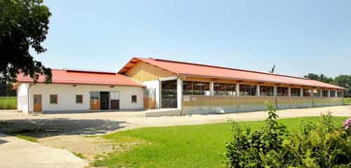 Milchviehstall von Haas Landwirtschaftsbau
