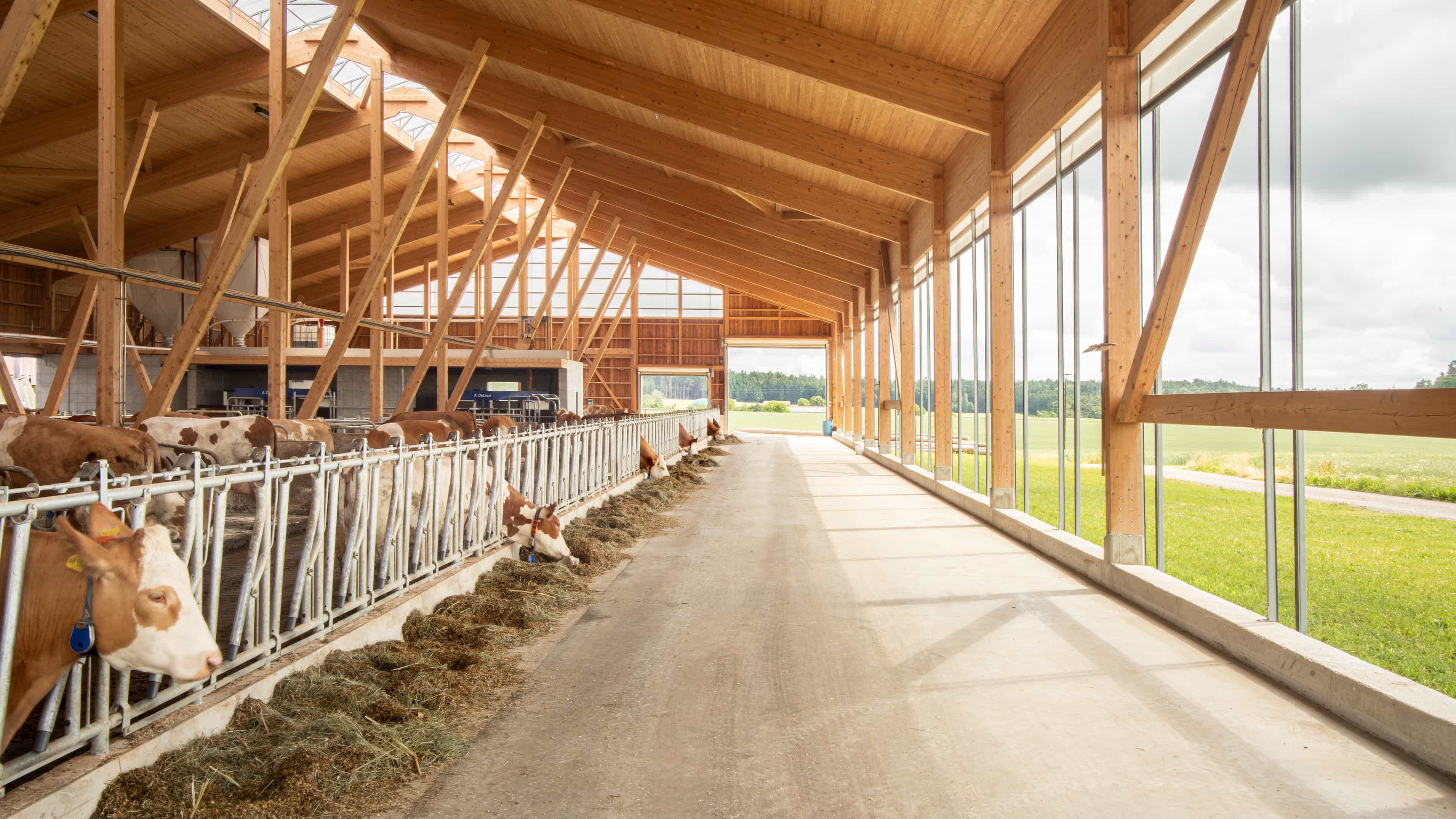 Haas Landwirtschaft Kundenstimme Geltinger