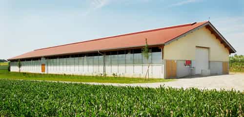 Bullenmaststall von Haas Landwirtschaftsbau