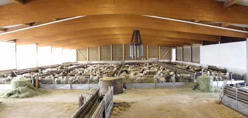 Schafstall von Haas Landwirtschaftsbau