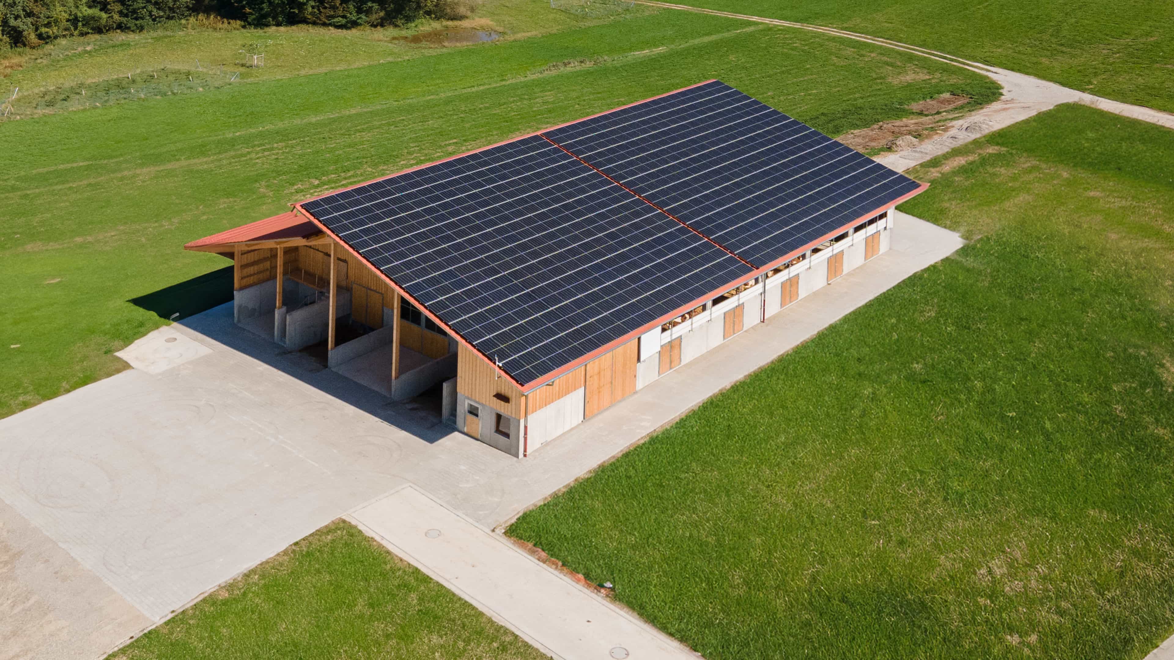 Luftaufnahme des Rinderstalls mit durchgehender Photovoltaikanlage auf dem Dach