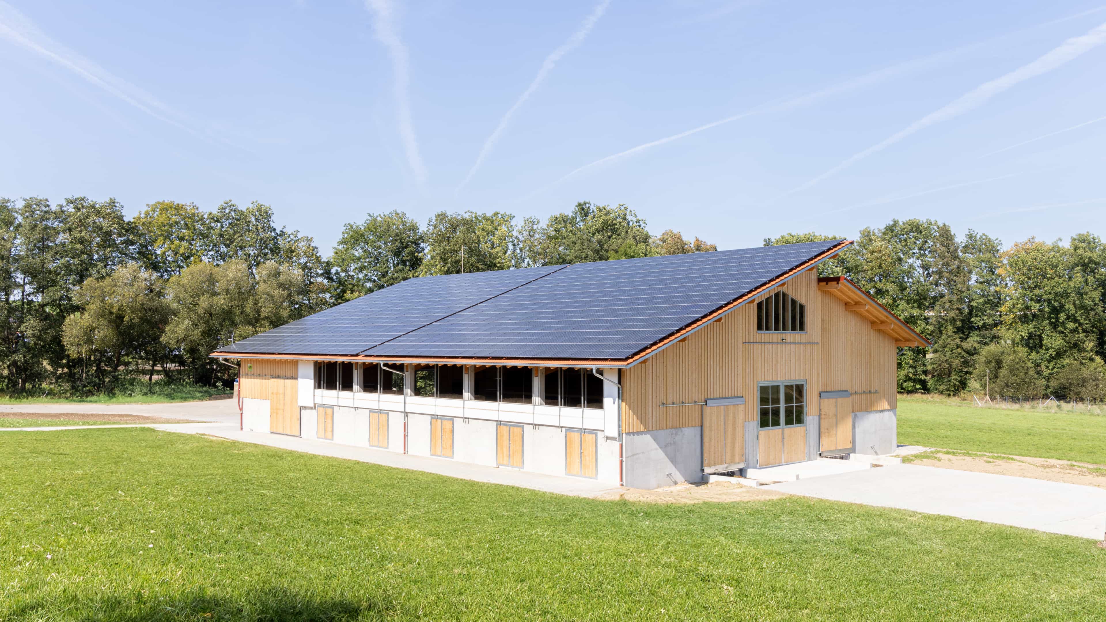 Neuer Rinderstall von Haas Landwirtschaftsbau mit Photovoltaikdach und Holzfassade auf grüner Wiese