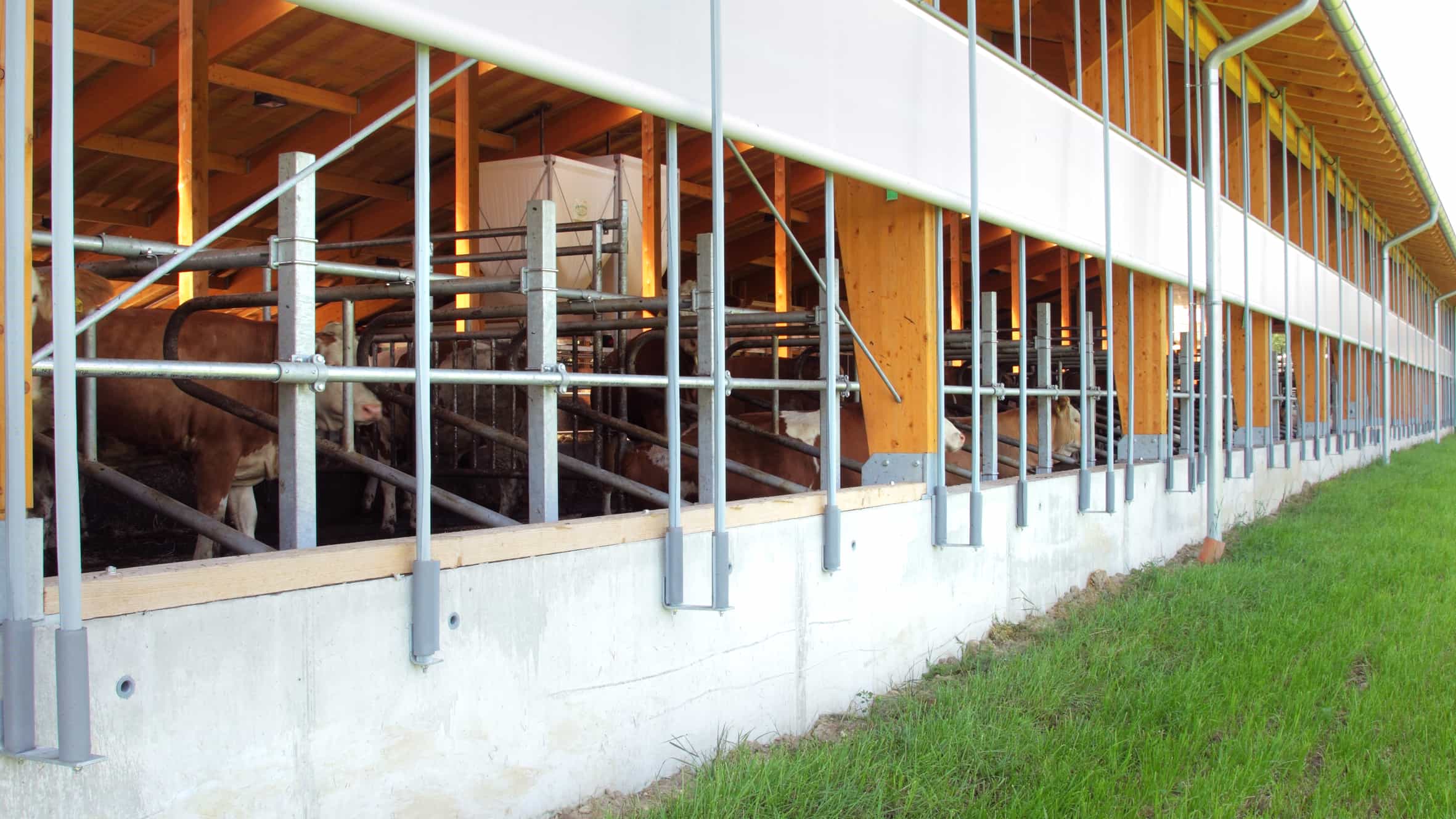Haas Landwirtschaft Licht & Lüftung Wand