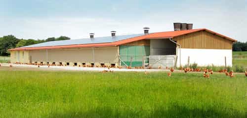 Legehennenstall von Haas Landwirtschaftsbau